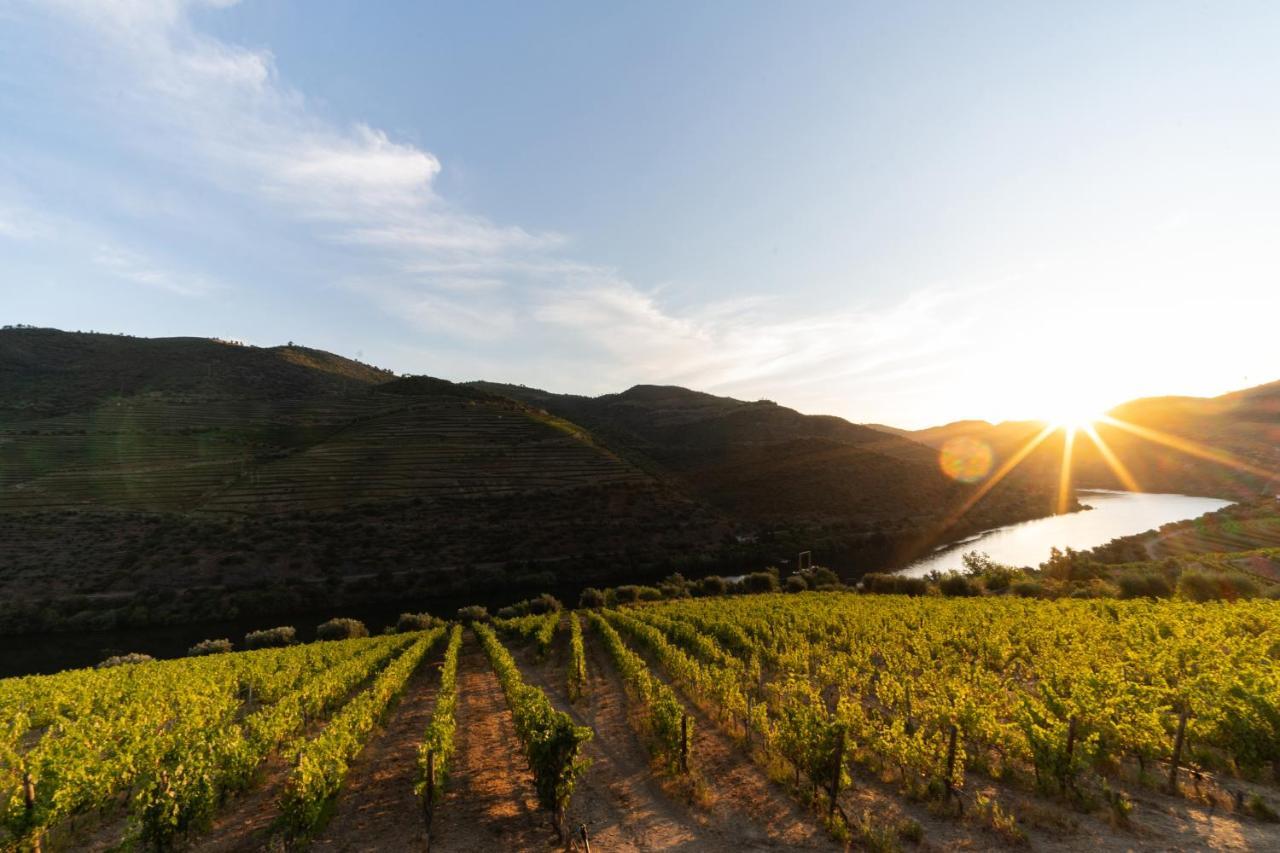 Quinta De S. Jose - Turismo Rural Ervedosa do Douro Екстер'єр фото